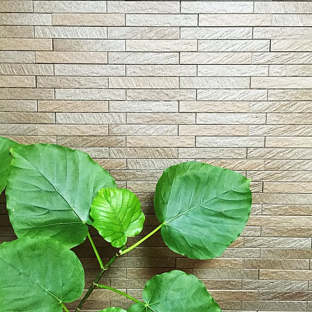 HOMIさんの実例写真