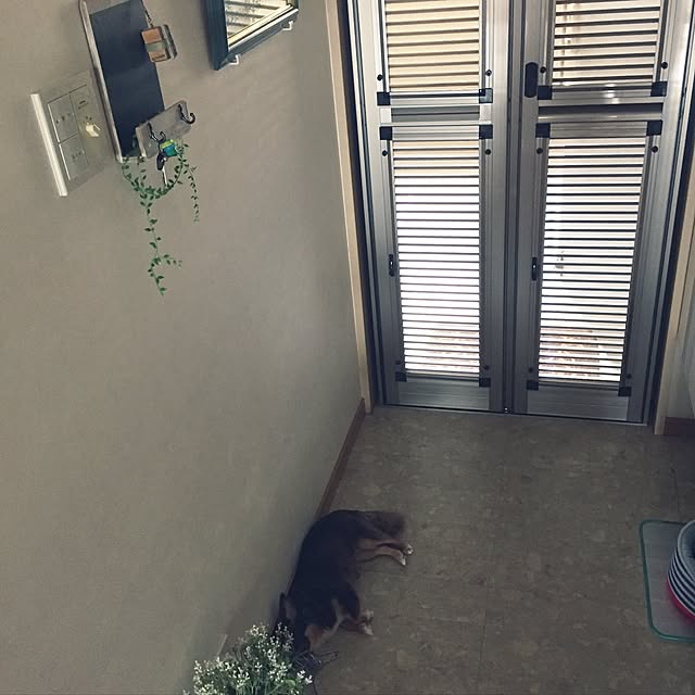 arinkoさんの実例写真