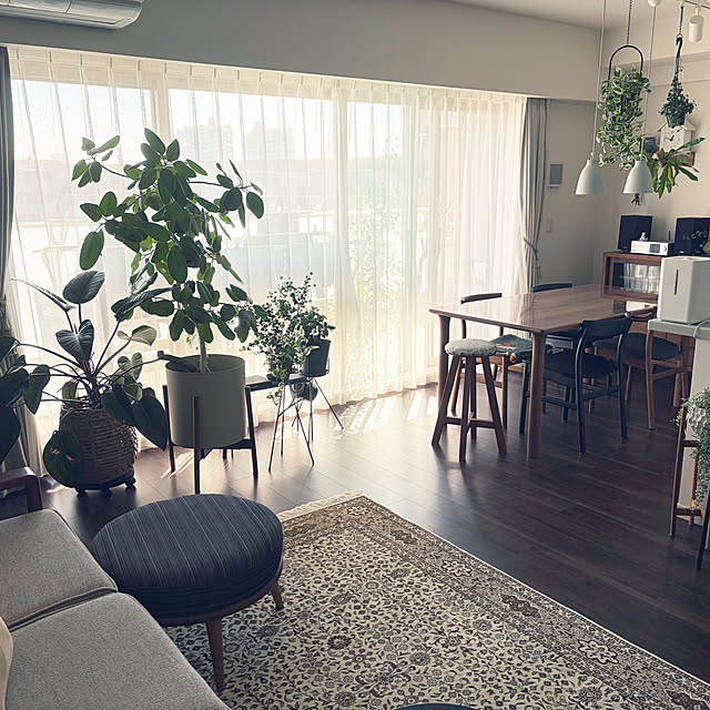 carocaroさんの実例写真