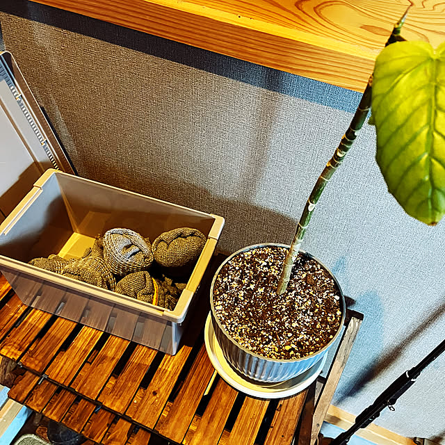 seiさんの部屋