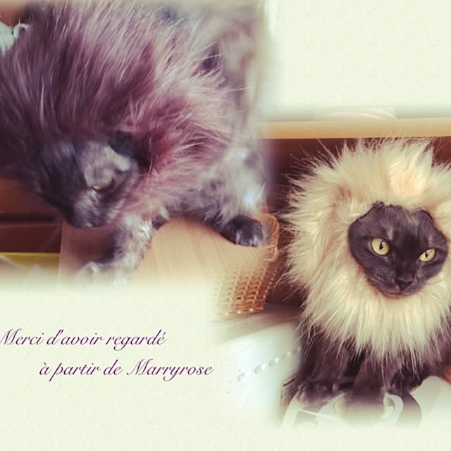 maria.rさんの実例写真