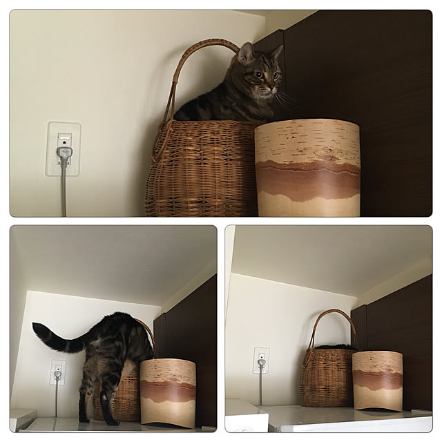 mikomaruさんの実例写真