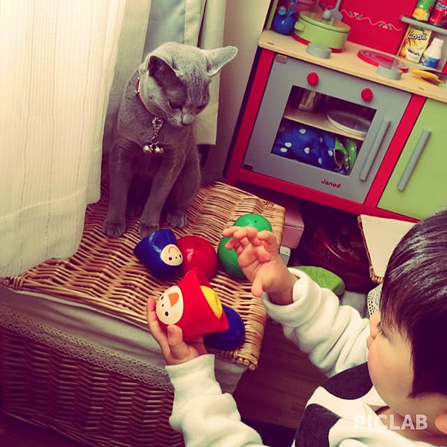 実例写真