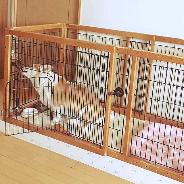 akoさんの実例写真