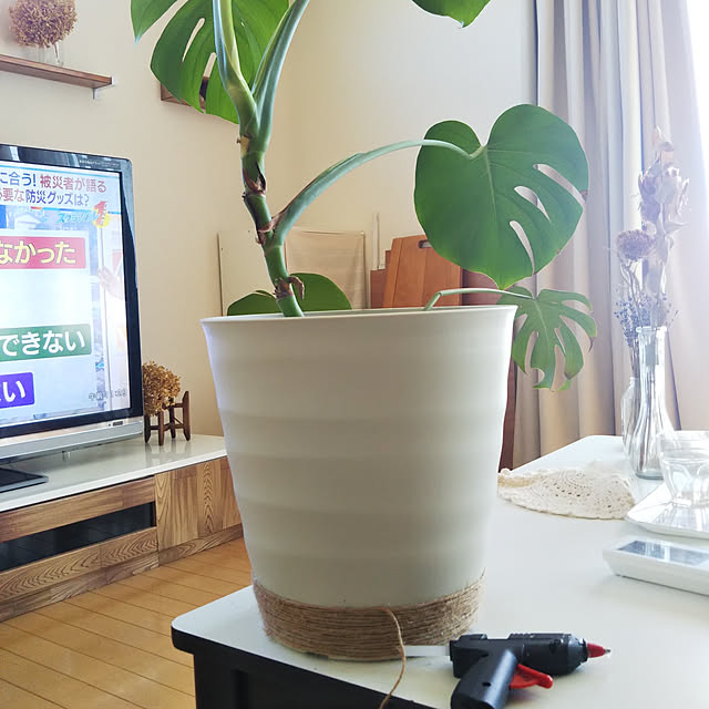 kaoriさんの実例写真