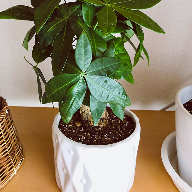 hanachanさんの部屋