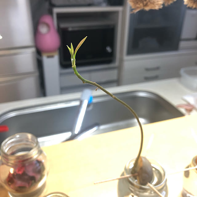chi_gogaさんの実例写真