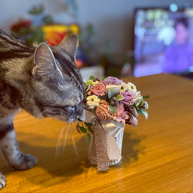 yuzuaoさんの実例写真