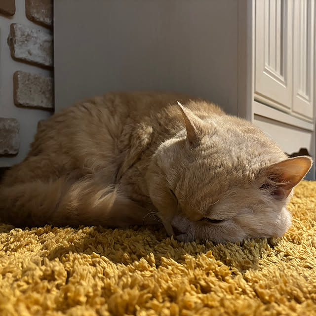 naokoさんの部屋