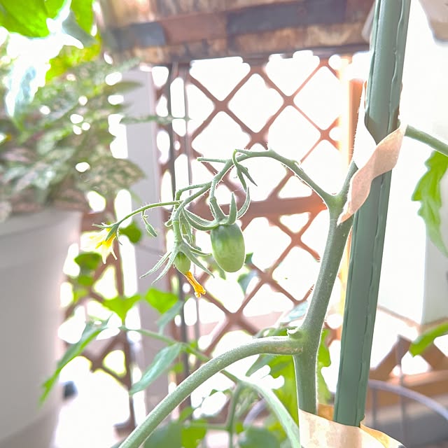 mariaさんの部屋