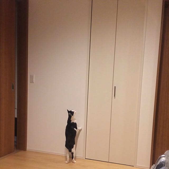 aruさんの実例写真