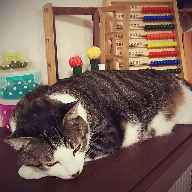 millsukeさんの実例写真