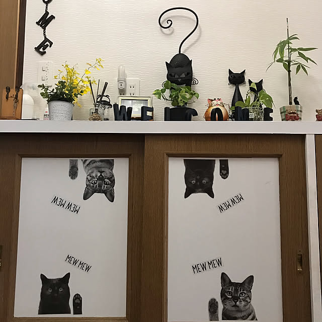 daikichiさんの実例写真
