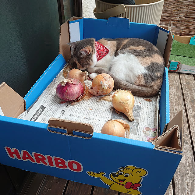 fukuさんの実例写真