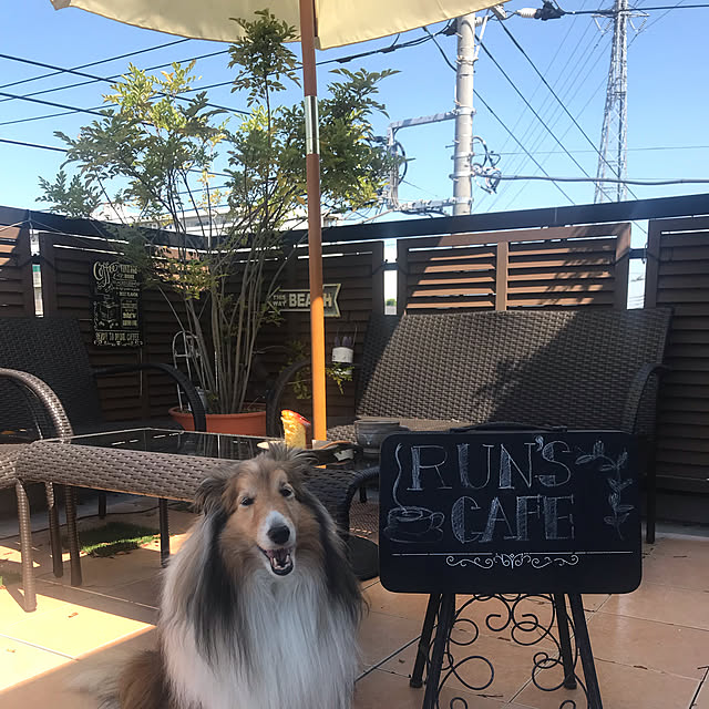 runchanさんの実例写真