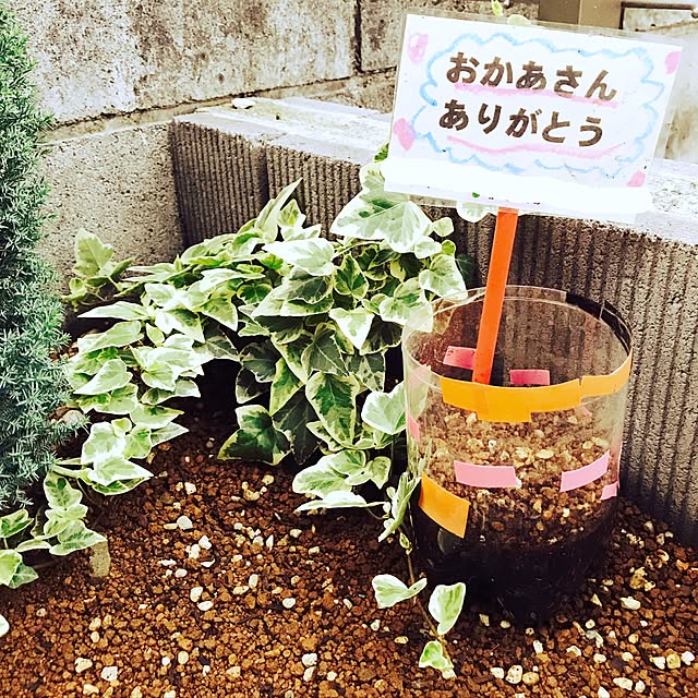 n.a.rさんの実例写真