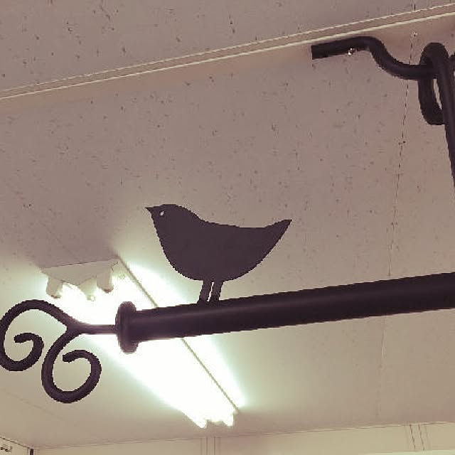 maaさんの実例写真