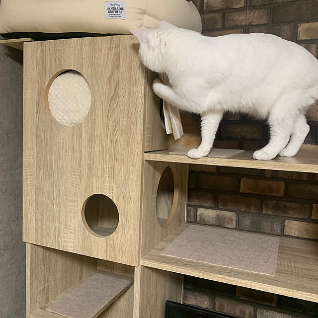 keiさんの部屋