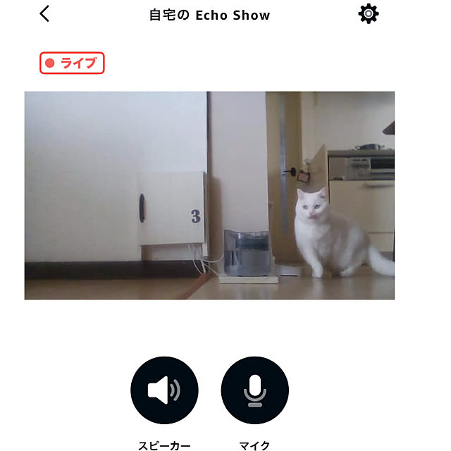 kotoriさんの部屋