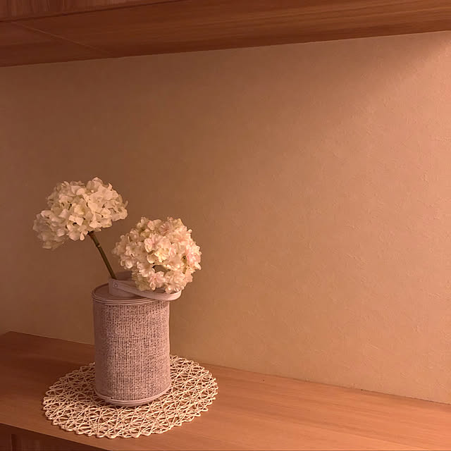 nonochuuさんの実例写真
