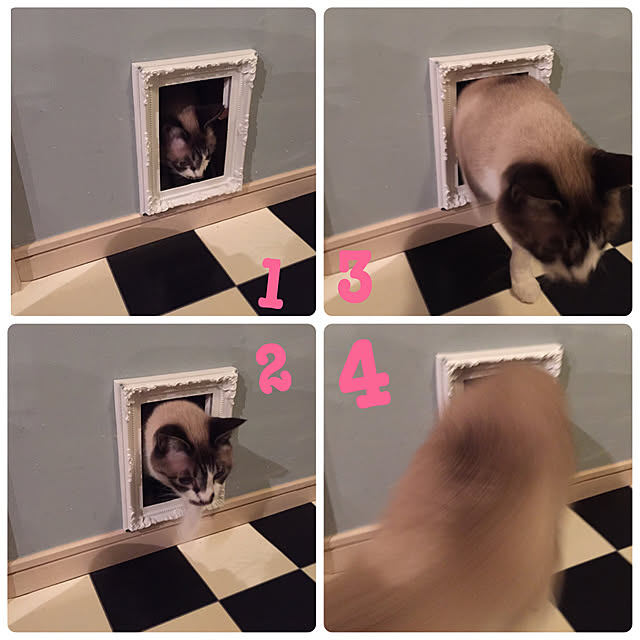 bowbowcoさんの実例写真