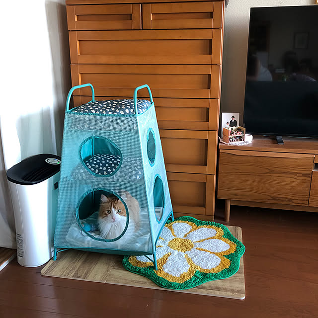 uchidaizuさんの部屋