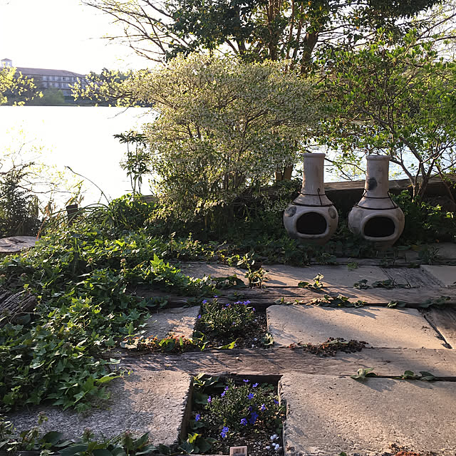Hanagoboさんの実例写真