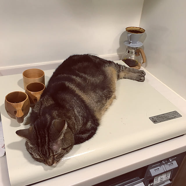 mikomaruさんの実例写真