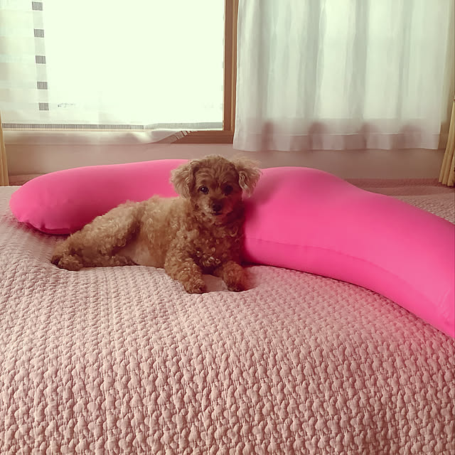 haruminさんの実例写真