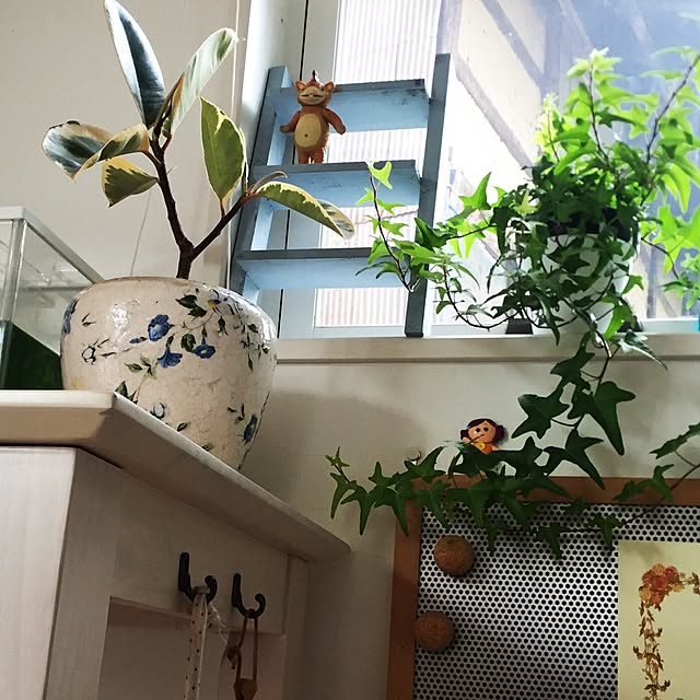 pariさんの実例写真