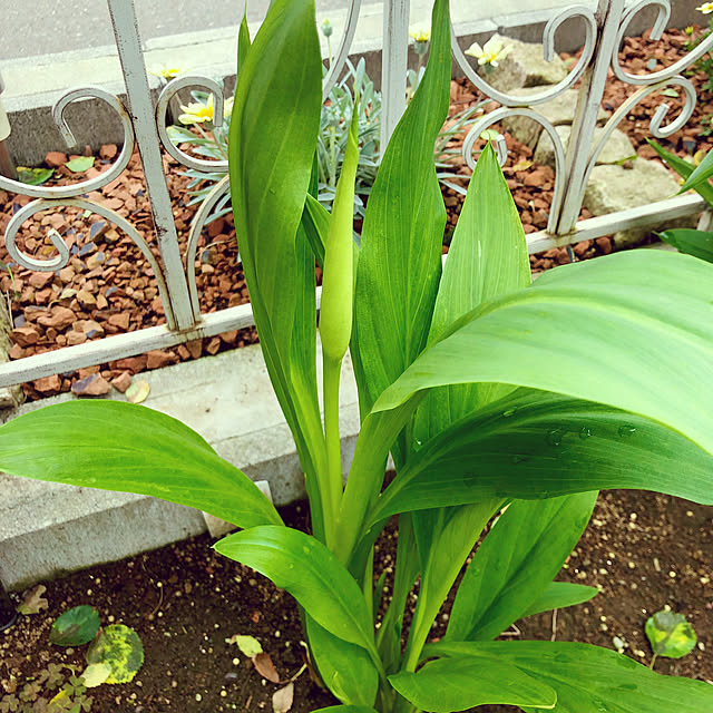 tomoさんの部屋