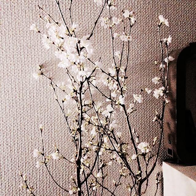 halk_さんの実例写真