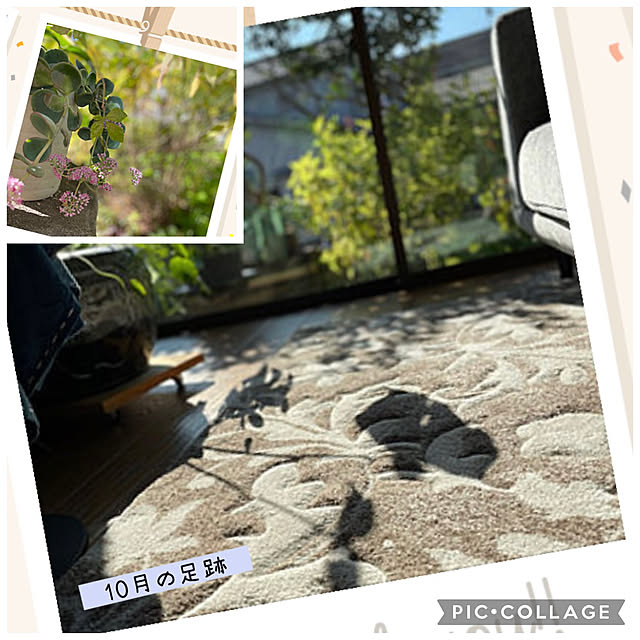 buchiさんの実例写真