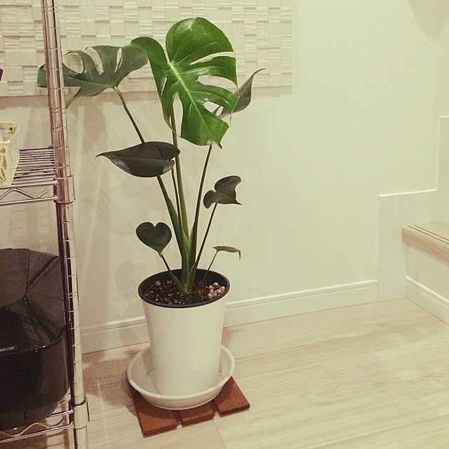 Kaoさんの実例写真