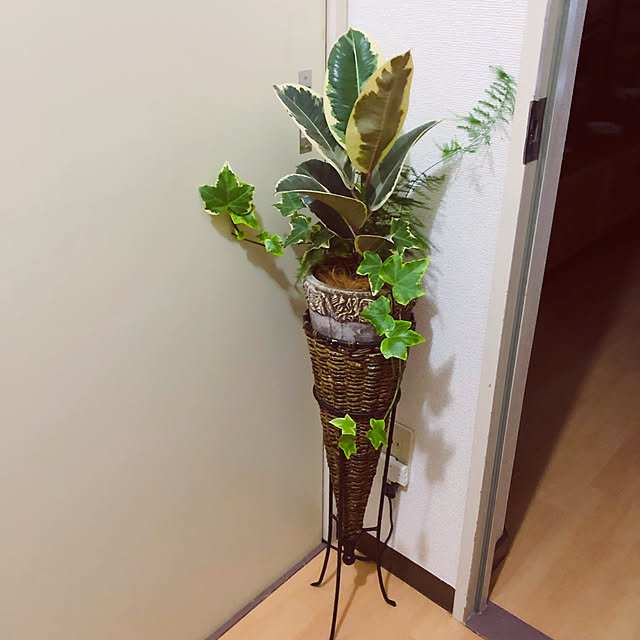 hanachanさんの部屋