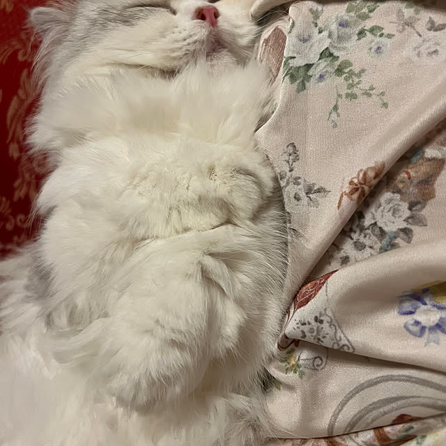 AYUKOさんの実例写真