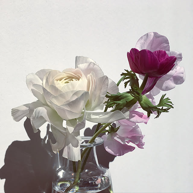 hm1122さんの実例写真