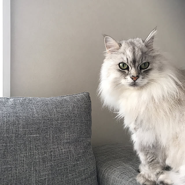 moon.mさんの実例写真