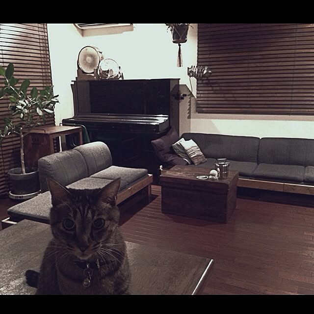 jnkaiさんの実例写真