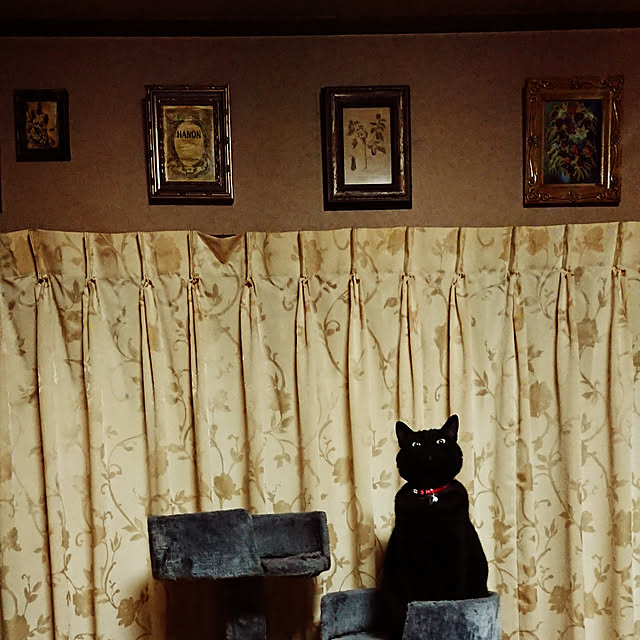 junkn6さんの実例写真