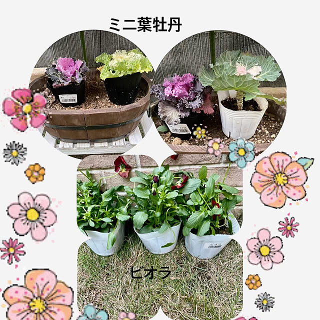 YuuKoさんの実例写真