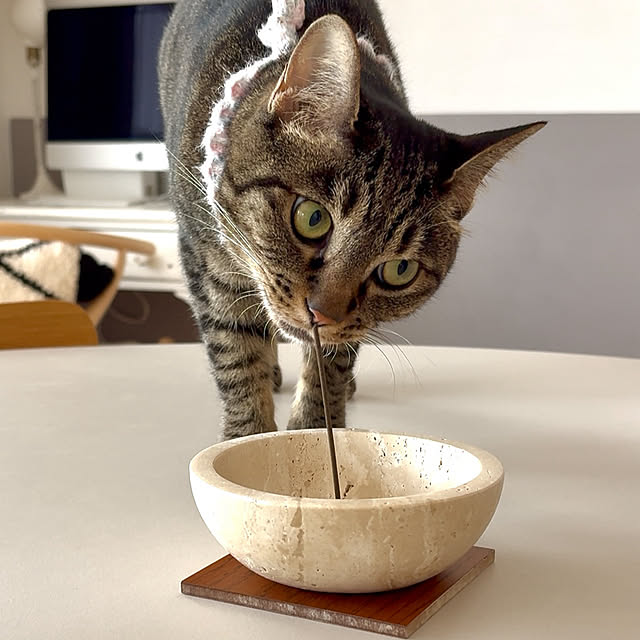 oliveさんの実例写真