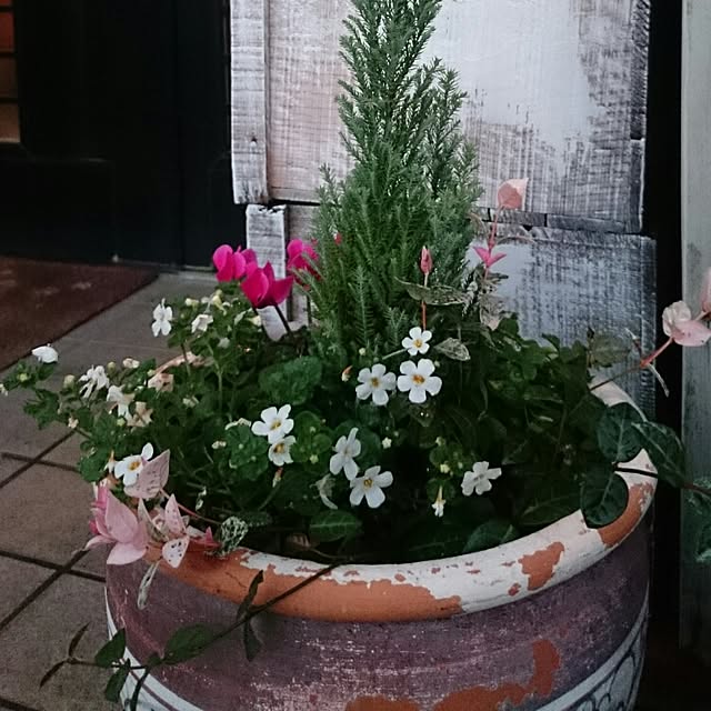 hiro1244さんの実例写真