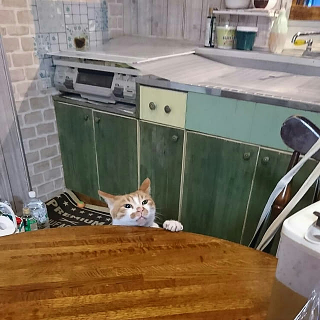SHIHOさんの実例写真
