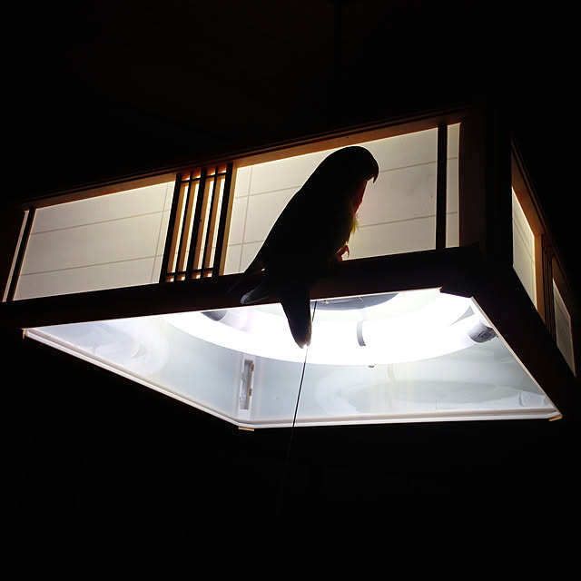 aoinokimiさんの実例写真