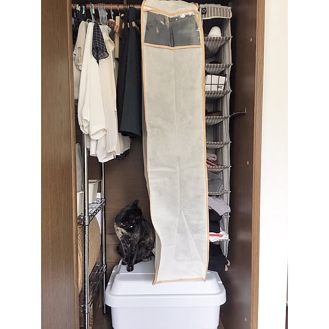 Ryoさんの実例写真