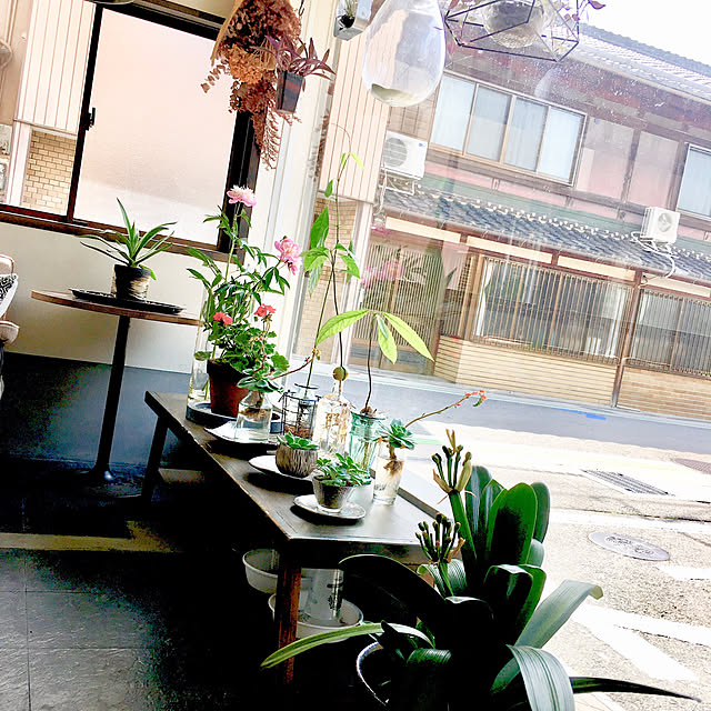 bluemusicさんの実例写真