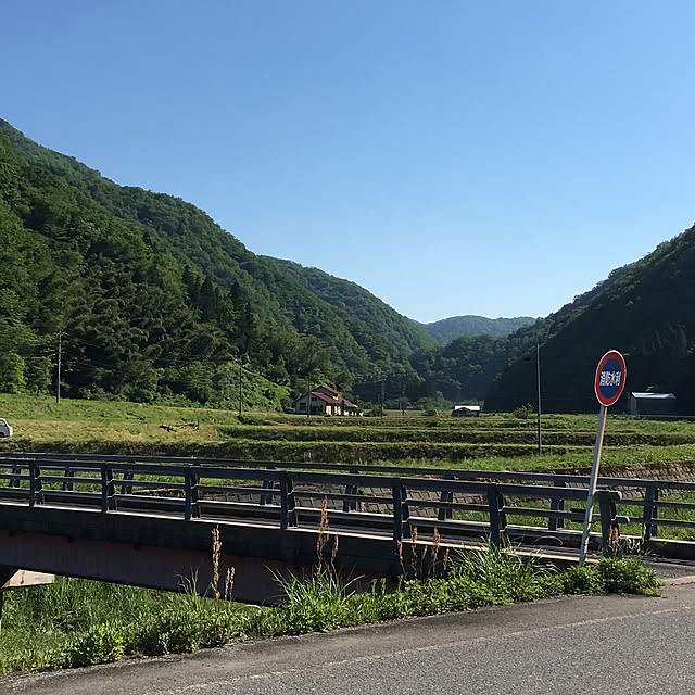 実例写真