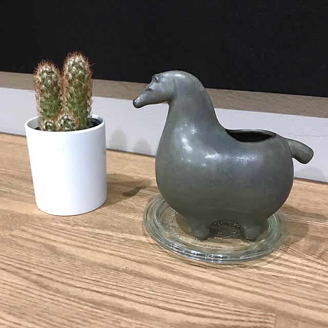 rinaさんの実例写真