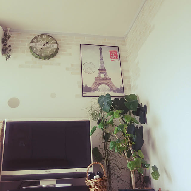 naturalmintさんの実例写真